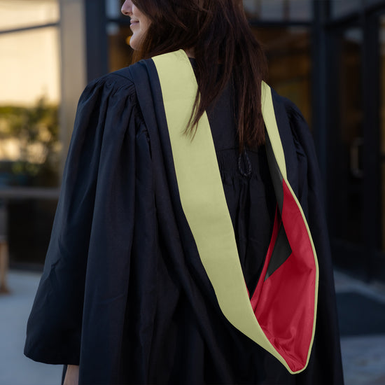 Masters Hood For Physical Education, Physical Science, Hygiene, Health & Rehab. - Sage/Red/Black by Wholesale Grad Supply