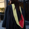 Masters Hood For Physical Education, Physical Science, Hygiene, Health & Rehab. - Sage/Red/Black by Wholesale Grad Supply