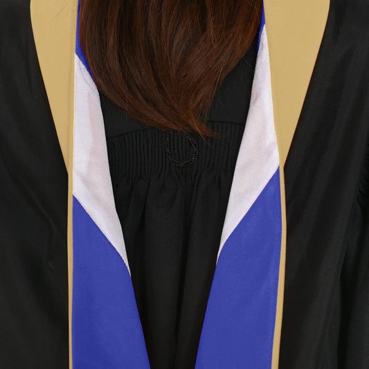 Masters Hood For Social Work, Social Science, Social Service - Citron/Royal Blue/White by Wholesale Grad Supply