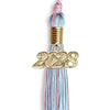 Pink/Light Blue Mixed Color Graduation Tassel with Gold Bling Charm by Wholesale Grad Supply