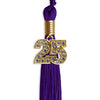 Purple Graduation Tassel with Gold Bling Charm by Wholesale Grad Supply