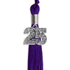 Purple Graduation Tassel with Silver Bling Charm by Wholesale Grad Supply