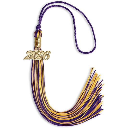 Purple/Gold Mixed Color Graduation Tassel with Gold Bling Charm by Wholesale Grad Supply