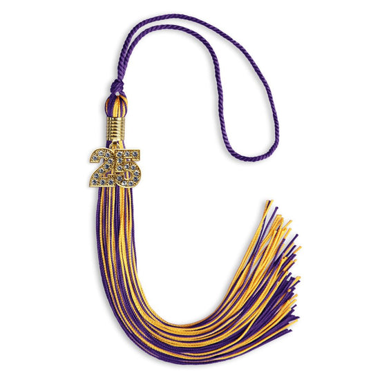 Purple/Gold Mixed Color Graduation Tassel with Gold Bling Charm by Wholesale Grad Supply