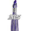 Purple/Silver Mixed Color Graduation Tassel with Silver Bling Charm by Wholesale Grad Supply
