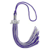 Purple/Silver Mixed Color Graduation Tassel with Silver Bling Charm by Wholesale Grad Supply