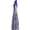 Purple/Silver Mixed Color Graduation Tassel with Stacked Silver Date Drop by Wholesale Grad Supply