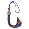 Rainbow Graduation Tassel with Silver Bling Charm by Wholesale Grad Supply