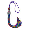 Rainbow Graduation Tassel with Silver Bling Charm by Wholesale Grad Supply