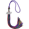 Rainbow Graduation Tassel with Silver Bling Charm by Wholesale Grad Supply