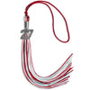 Red/Light Blue/White Mixed Color Graduation Tassel with Silver Bling Charm by Wholesale Grad Supply