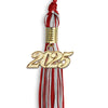Red/Silver Mixed Color Graduation Tassel with Gold Bling Charm by Wholesale Grad Supply