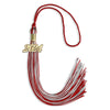 Red/Silver Mixed Color Graduation Tassel with Gold Bling Charm by Wholesale Grad Supply