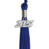 Royal Blue Graduation Tassel with Silver Bling Charm by Wholesale Grad Supply