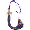 Rainbow Graduation Tassel with Gold Date Drop - Wholesale Grad Supply